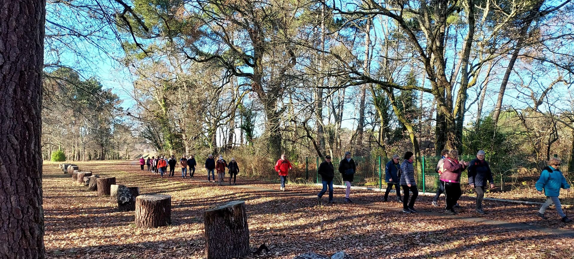 Lire la suite à propos de l’article Marche St Médard – Germignan – Bois des Sources 17 Fév. 22