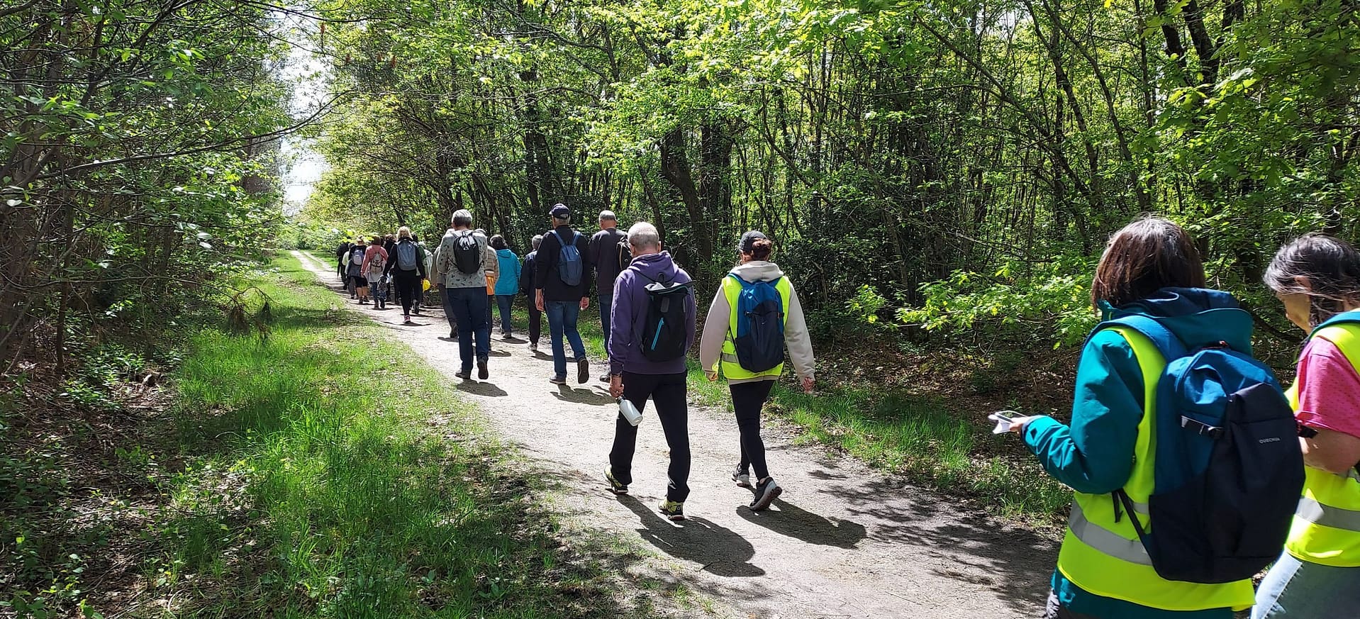 Lire la suite à propos de l’article Marche du Jeudi 17 avril 25 – St Médard en Jalles – Magudas