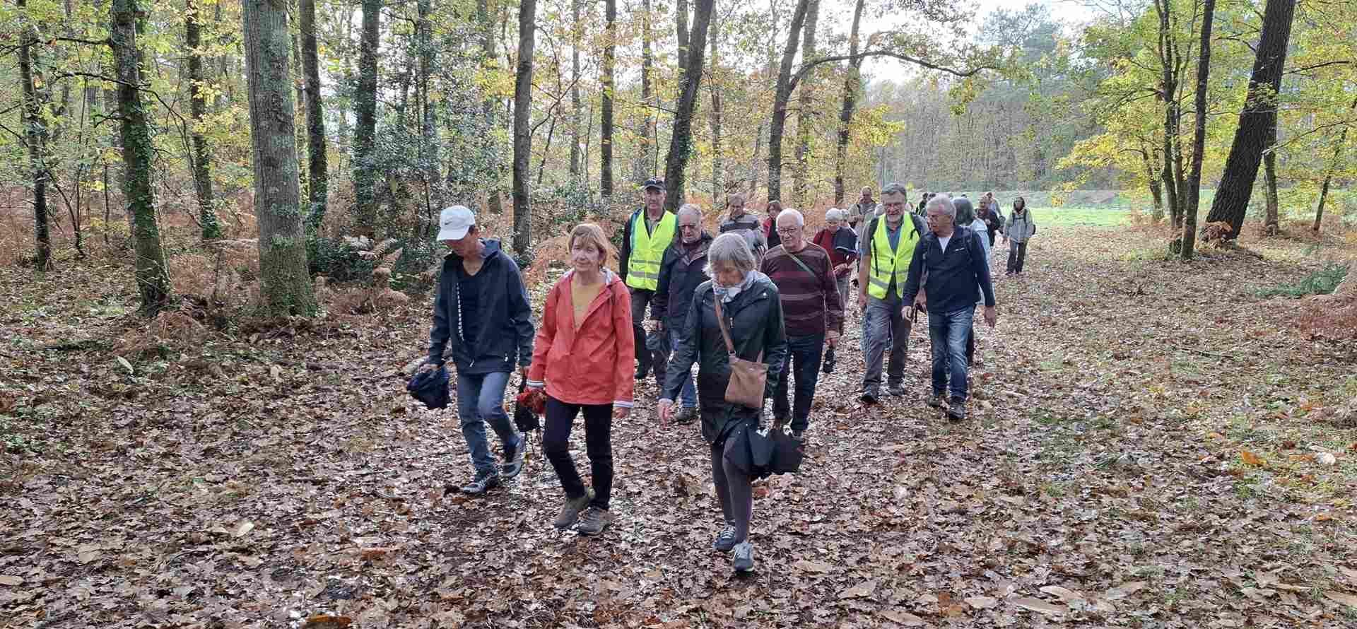 Lire la suite à propos de l’article Marche d&rsquo;entretien – Le Taillan Médoc