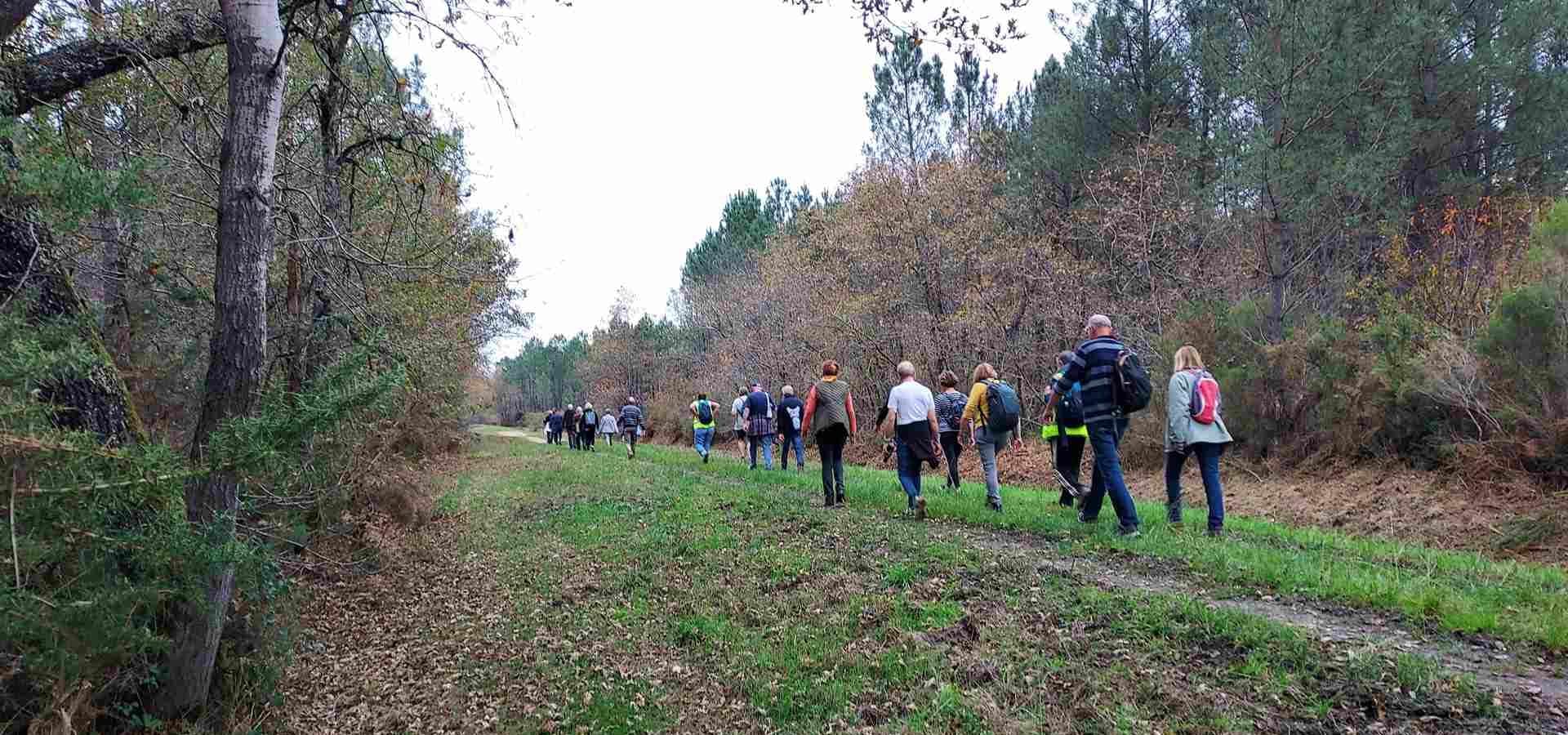 Lire la suite à propos de l’article Marche d&rsquo;entretien – St Médard en Jalles – Magudas