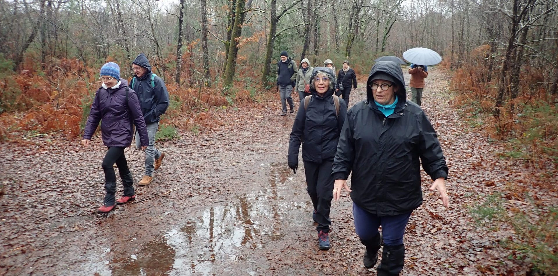 Lire la suite à propos de l’article Marche du 18 Janv. 24 – Forêt du Taillan Médoc
