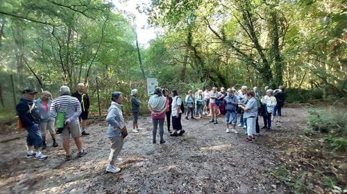 Lire la suite à propos de l’article Marche de reprise – 14 Sept 23