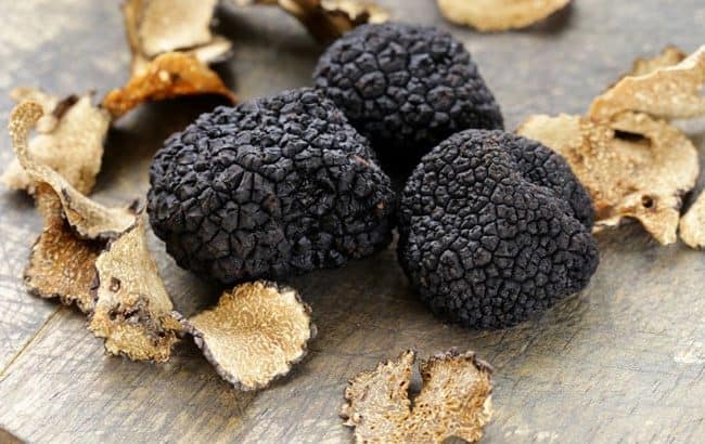 Lire la suite à propos de l’article Retour sur l&rsquo;excursion « Escapade au pays de la truffe »