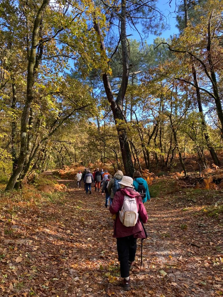 Lire la suite à propos de l’article Marche d&rsquo;automne, du Bonneau au Guitard –  9 Nov. 23
