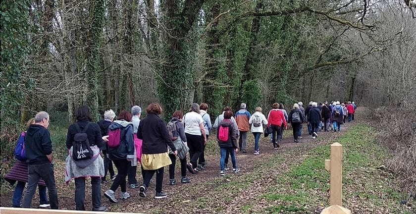 Lire la suite à propos de l’article Marche du 9 Mars – Bois du Taillan