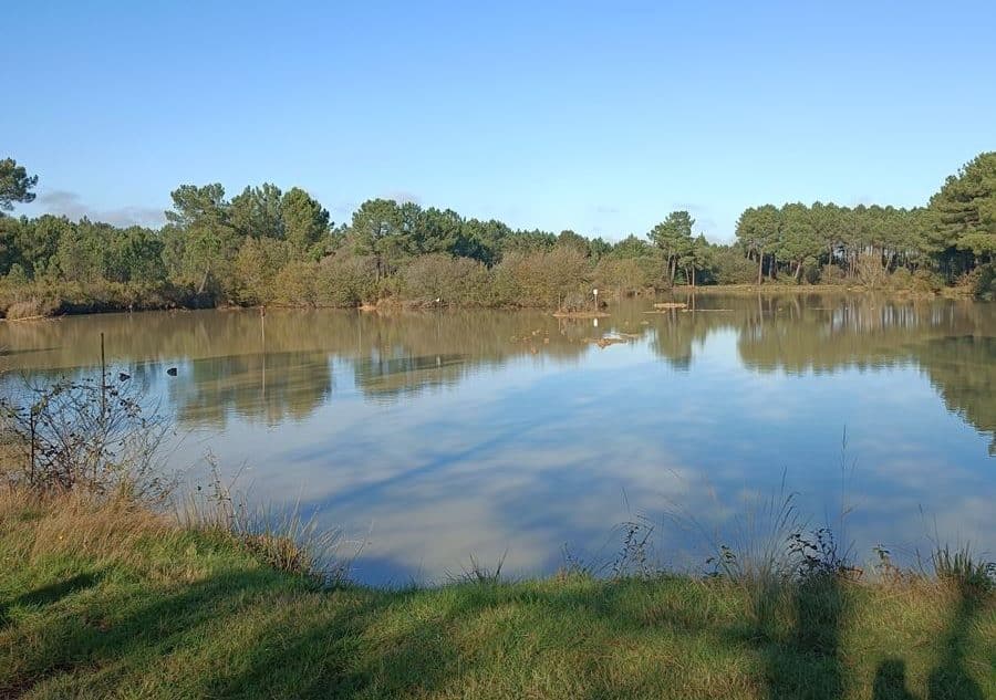 Lire la suite à propos de l’article Marche du 10 Nov. Salaunes – Etang du Boustéra