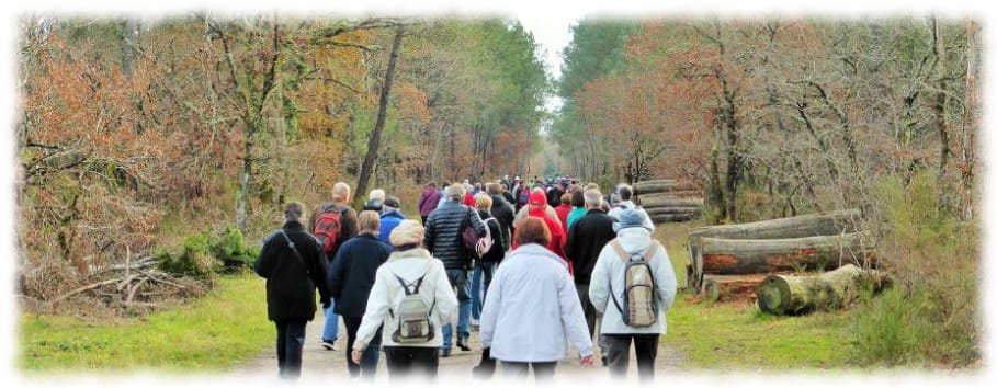 Lire la suite à propos de l’article Marche du 20 février – Le lac Vert